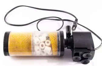 Which Aquarium Filters Are Most Suitable for Freshwater Fish?