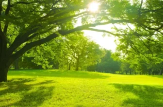 What Are the Key Elements of a Sustainable Garden?