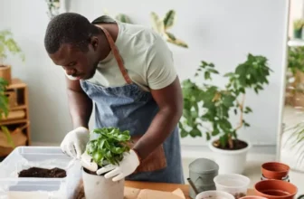 What Are the Best Soil Mixes for Indoor Gardening?