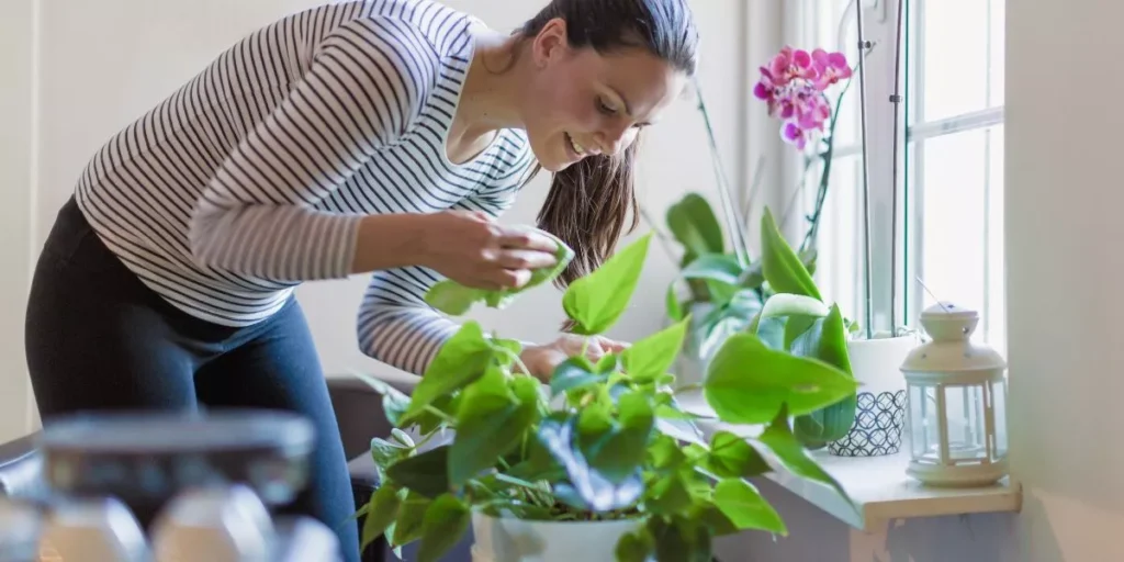 What Are the Common Mistakes in Indoor Gardening? What Are the Common Mistakes in Indoor Gardening?