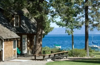 How to Design a Bird-Friendly Space at Home