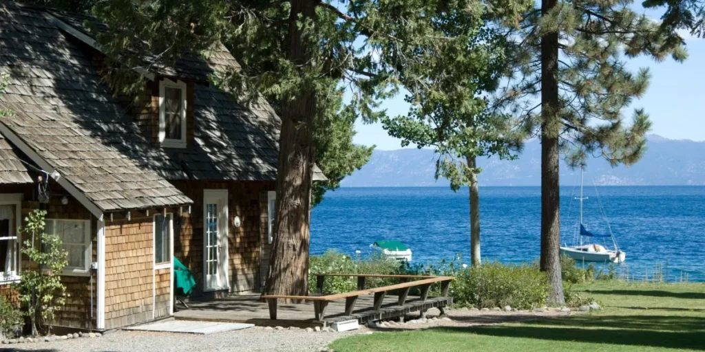 How to Design a Bird-Friendly Space at Home