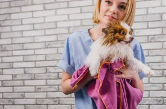 How Can You Identify and Handle Stress in Exotic Pets?