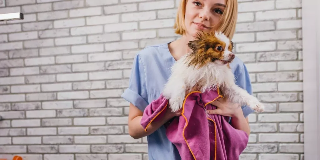 How Can You Identify and Handle Stress in Exotic Pets?