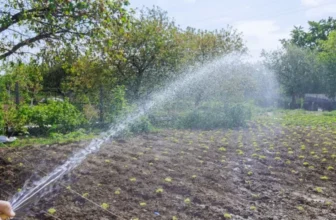 The Importance of Biodiversity in Organic Gardening