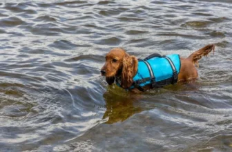 Ensuring Safety on Water Adventures