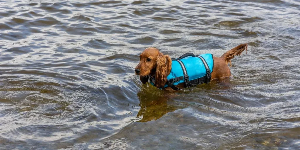 Ensuring Safety on Water Adventures