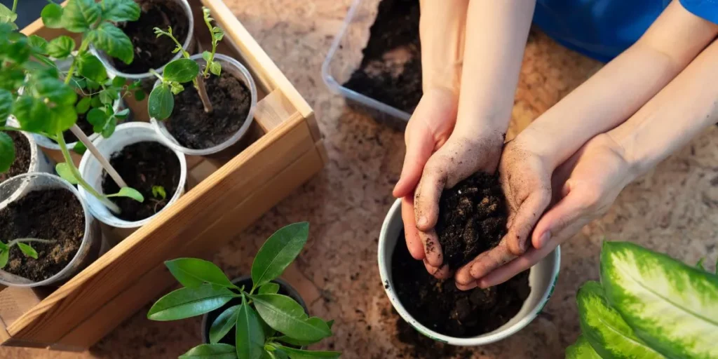 Common Myths About Plant Care Debunked Common Myths About Plant Care Debunked