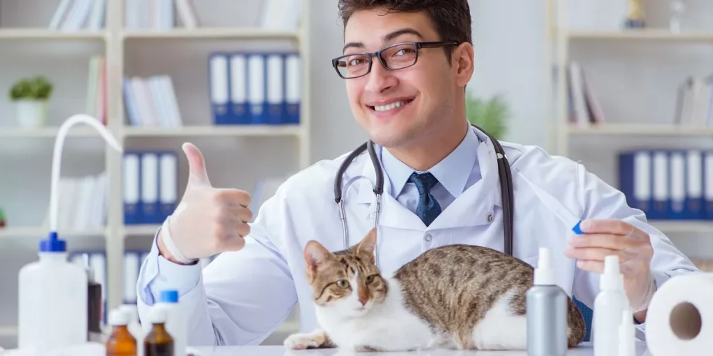 The Importance of Regular Vet Visits for Your Pet’s Health
