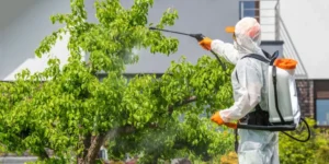 The Importance of Garden Safety for Families