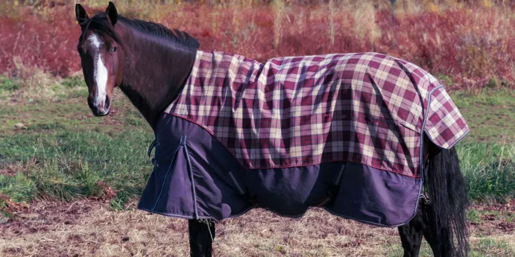 How Do You Select the Right Horse Blanket Size? How Do You Select the Right Horse Blanket Size?