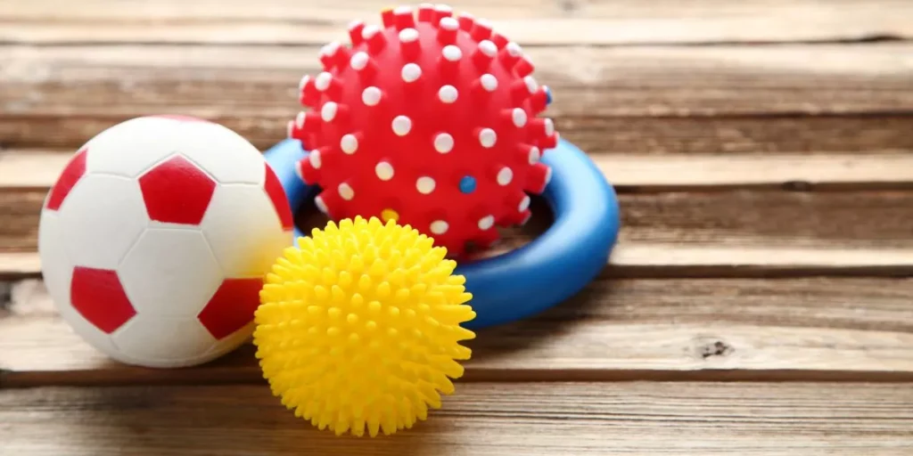 How Can You Find Affordable and Safe Dog Toys? How Can You Find Affordable and Safe Dog Toys?