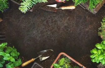 Hazard-Free Gardening: A Comprehensive Guide