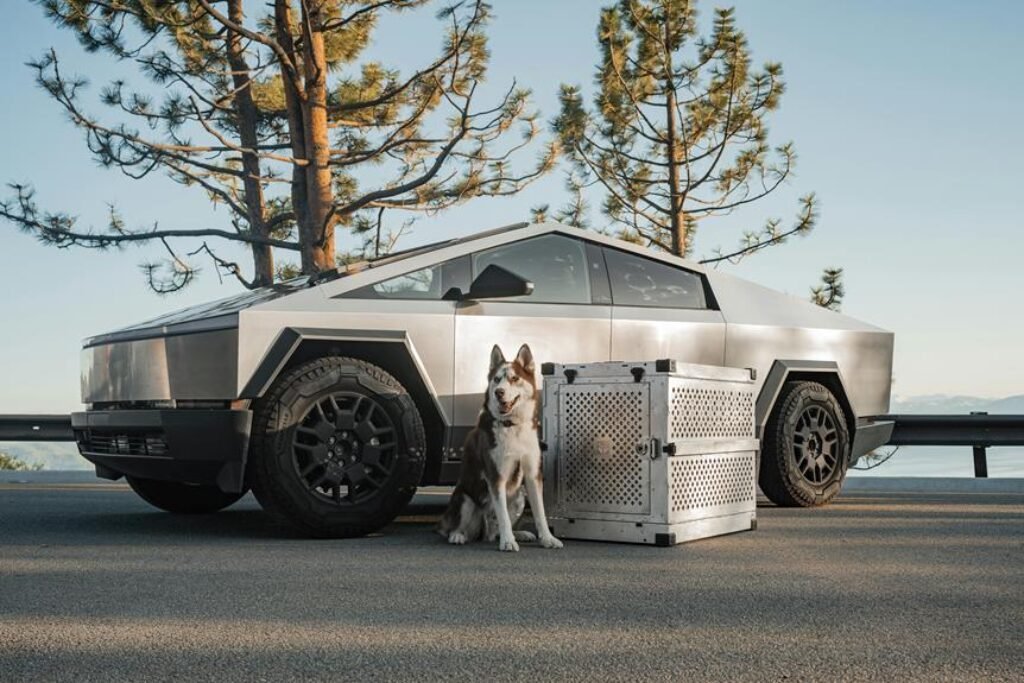 How Do You Pick the Right Dog Crate for Travel? How Do You Pick the Right Dog Crate for Travel?