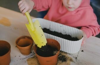 A Guide to Seasonal Gardening for Beginners
