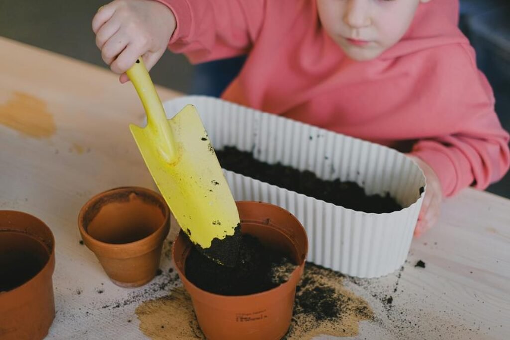 A Guide to Seasonal Gardening for Beginners A Guide to Seasonal Gardening for Beginners