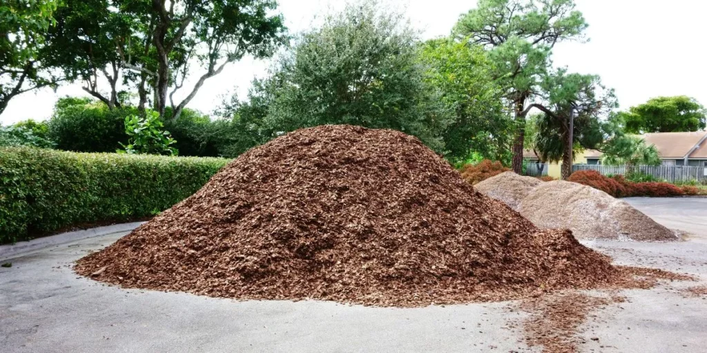 What Are the Best Mulching Materials for Organic Gardens? What Are the Best Mulching Materials for Organic Gardens?