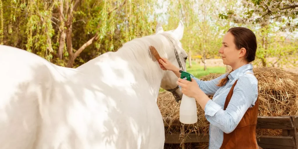Building a Horse Grooming Kit: Everything You Need Building a Horse Grooming Kit: Everything You Need
