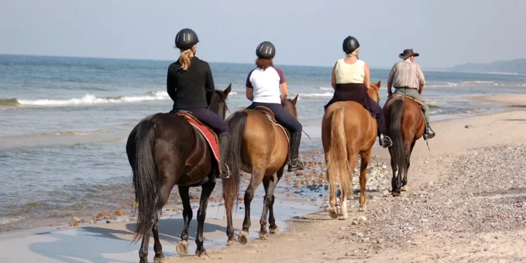 How Can You Keep Your Horse Hydrated During Travel? How Can You Keep Your Horse Hydrated During Travel?