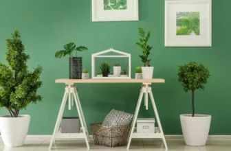 Low-Maintenance Indoor Plants for Every Home