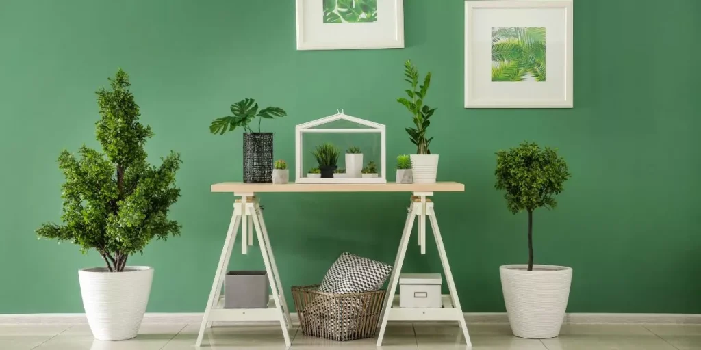 Low-Maintenance Indoor Plants for Every Home Low-Maintenance Indoor Plants for Every Home