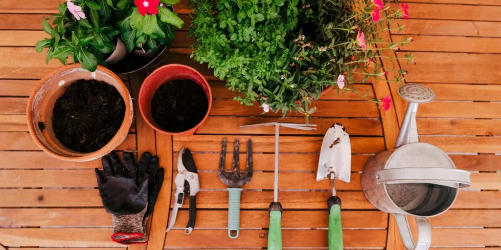 What Are the Best Indoor Gardening Tools? What Are the Best Indoor Gardening Tools?