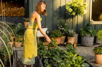 What Are the Benefits of Organic Gardening for the Environment?