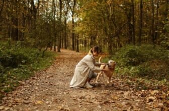 How Do You Help Your Pet Stay Healthy During Seasonal Changes?