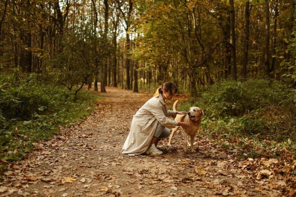 How Do You Help Your Pet Stay Healthy During Seasonal Changes? How Do You Help Your Pet Stay Healthy During Seasonal Changes?