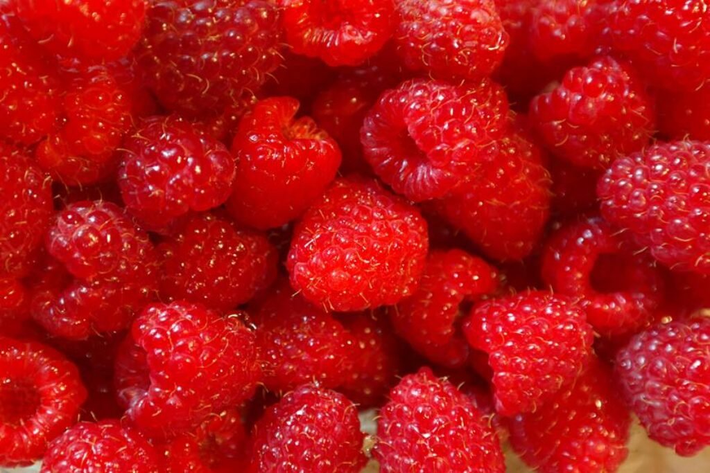 How to Make the Most of Summer’s Freshest Produce