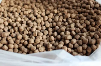 How Do You Choose the Best Fish Food for Your Aquarium Pets?
