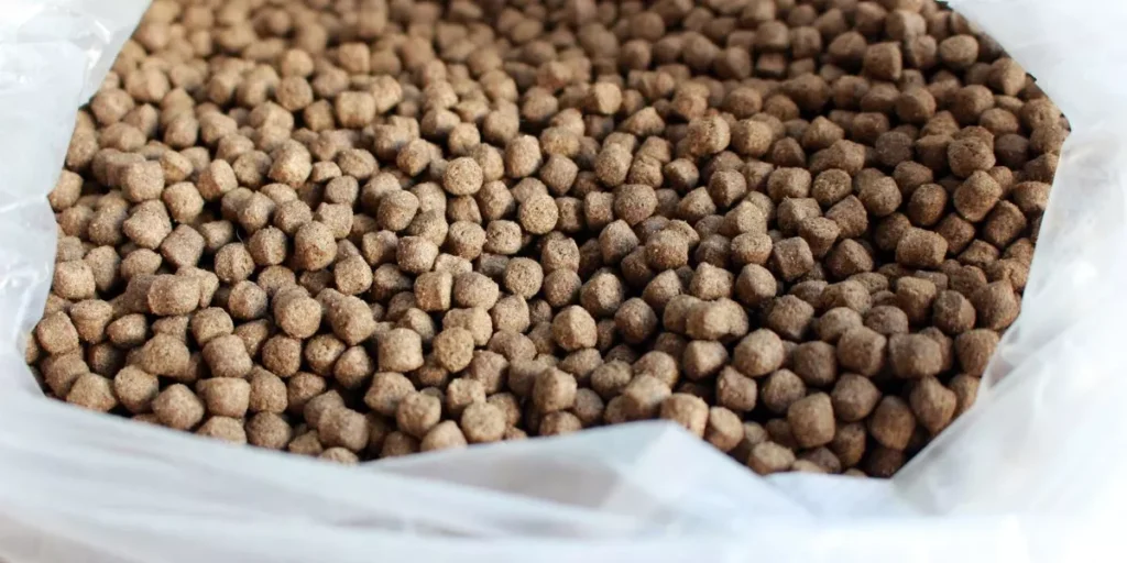 How Do You Choose the Best Fish Food for Your Aquarium Pets?