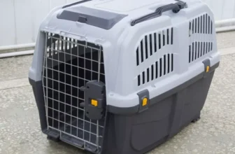 How Do You Choose the Best Exotic Pet Carrier for Your Animal?