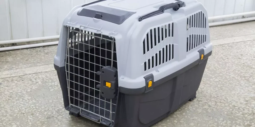 How Do You Choose the Best Exotic Pet Carrier for Your Animal?