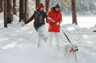 Essential Pet Gear for Winter Outdoor Adventures
