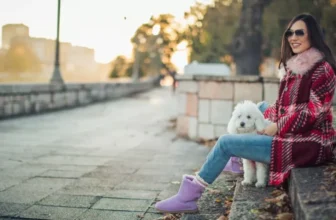 How Do You Make Outdoor Adventures More Fun and Safe for Your Pet?