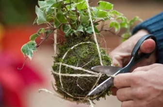 Winter Gardening Techniques for Hardy Crops