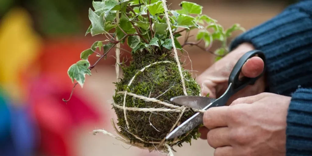 Winter Gardening Techniques for Hardy Crops