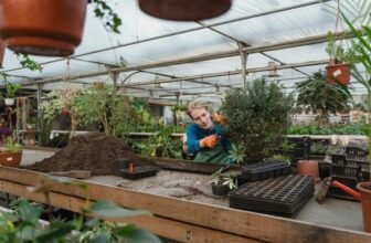 The Role of Compost in Outdoor Gardening