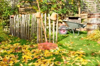 How Can I Prepare My Garden for the Fall Season?
