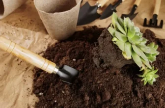 The Best Tools Every Plant Parent Needs
