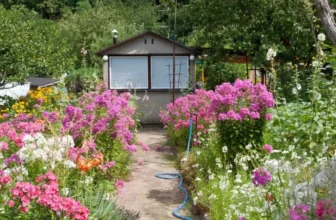 How Can You Create a Cottage-Style Garden?