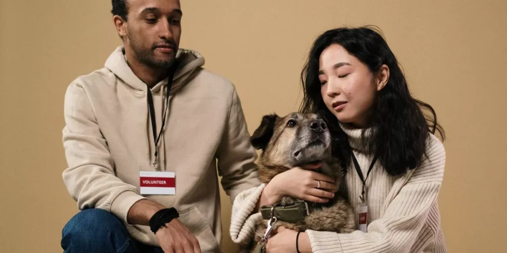 What Are the Best Smart Pet Gadgets for Pet Owners With Busy Schedules? What Are the Best Smart Pet Gadgets for Pet Owners With Busy Schedules?