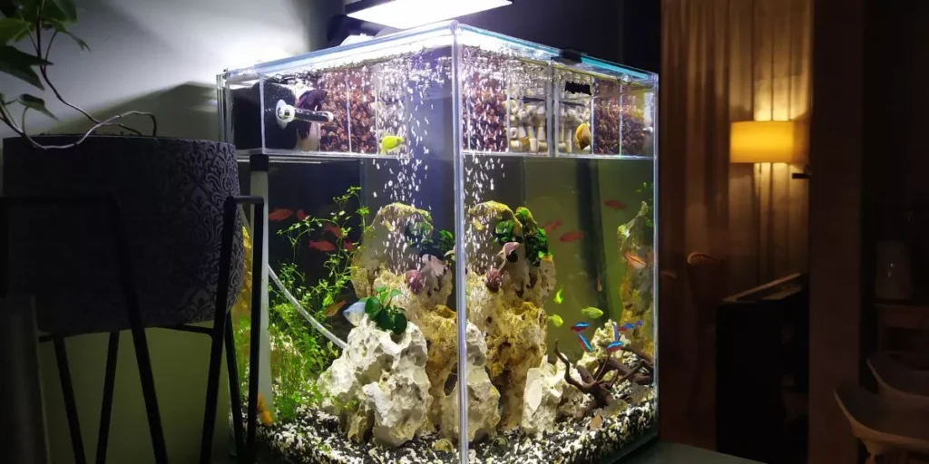 Essential Tools for Easy Aquarium Maintenance