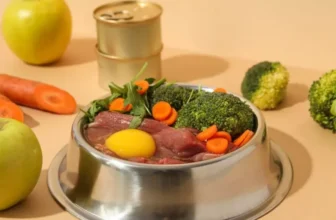 What Are the Best Smart Gadgets for Managing Your Pet’s Diet?