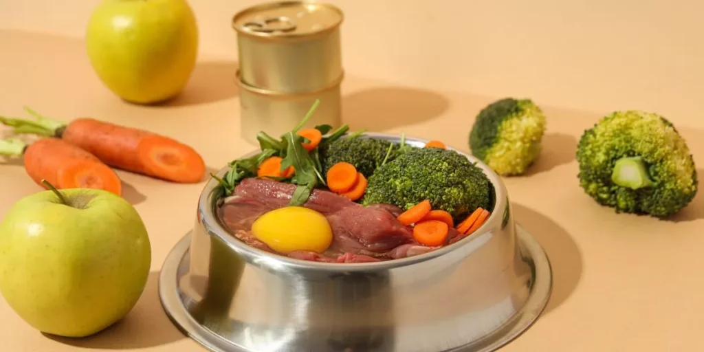 What Are the Best Smart Gadgets for Managing Your Pet’s Diet? What Are the Best Smart Gadgets for Managing Your Pet’s Diet?