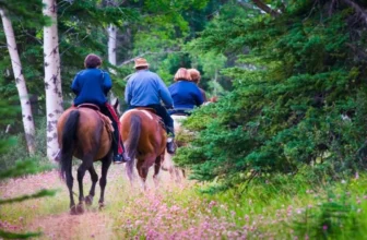 Top Accessories for Trail Riding Adventures