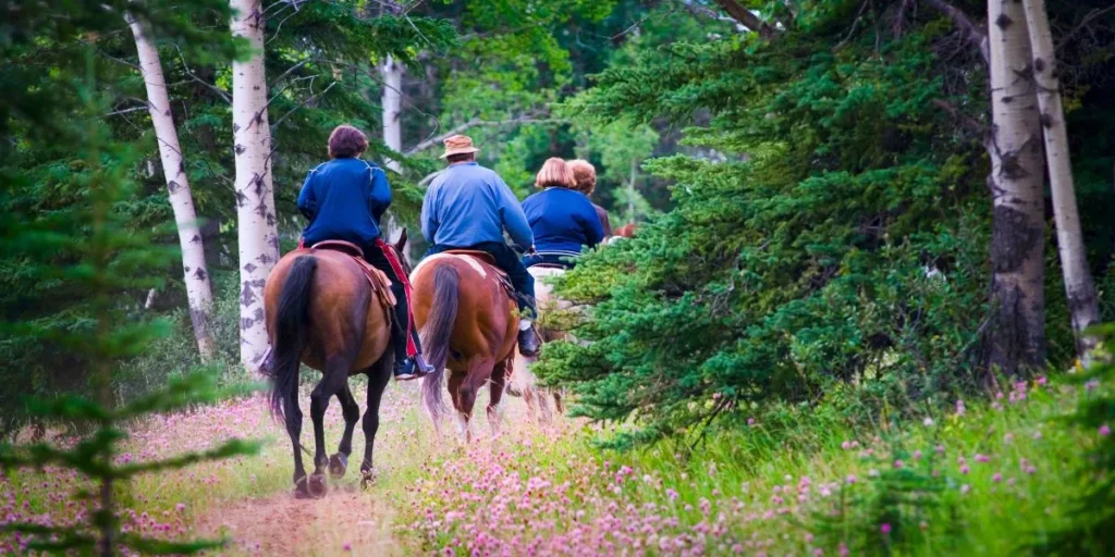 Top Accessories for Trail Riding Adventures
