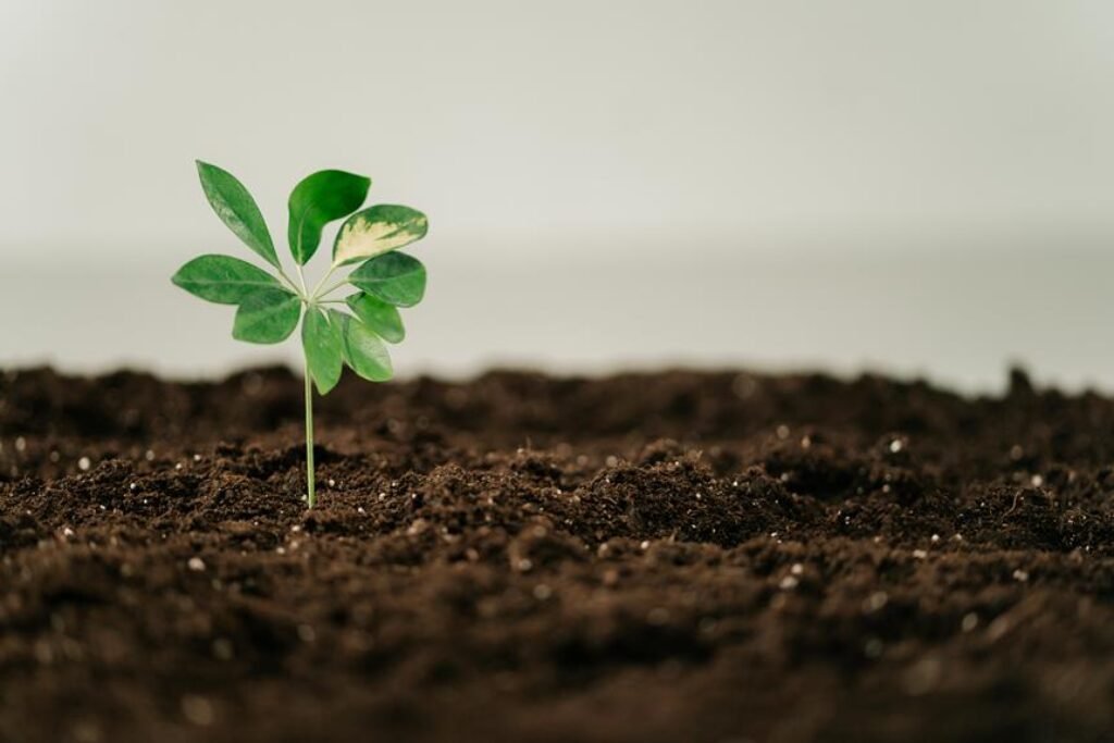 What Is Organic Gardening, and Why Should You Start? What Is Organic Gardening, and Why Should You Start?
